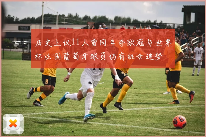 历史上仅11人曾同年夺欧冠与世界杯法国葡萄牙球员仍有机会追梦